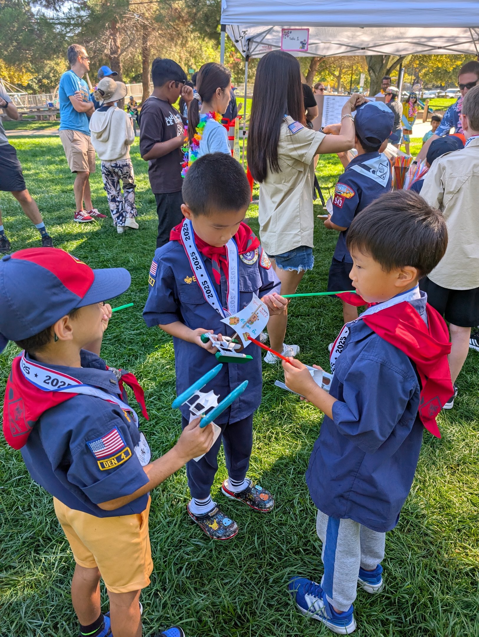 Cub Activity